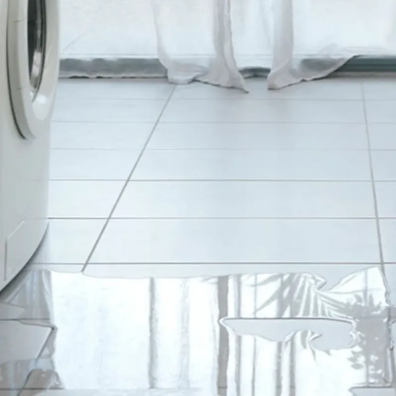 Appliance Leak Cleanup in Cherokee County, KS