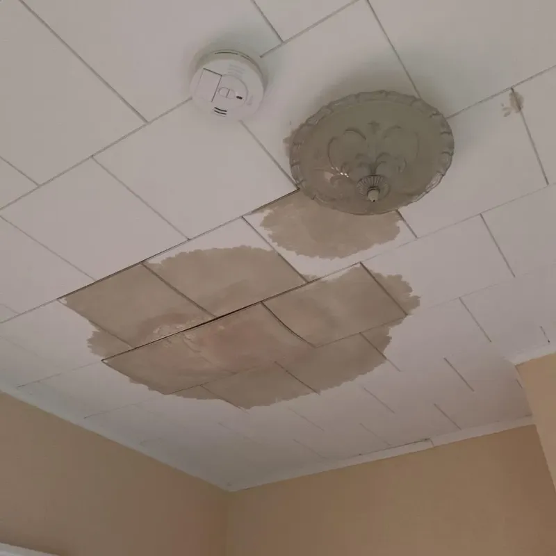 Ceiling Water Damage Repair in Cherokee County, KS
