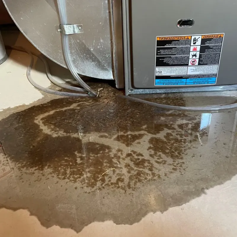 Pipe Burst and Leak Restoration in Cherokee County, KS