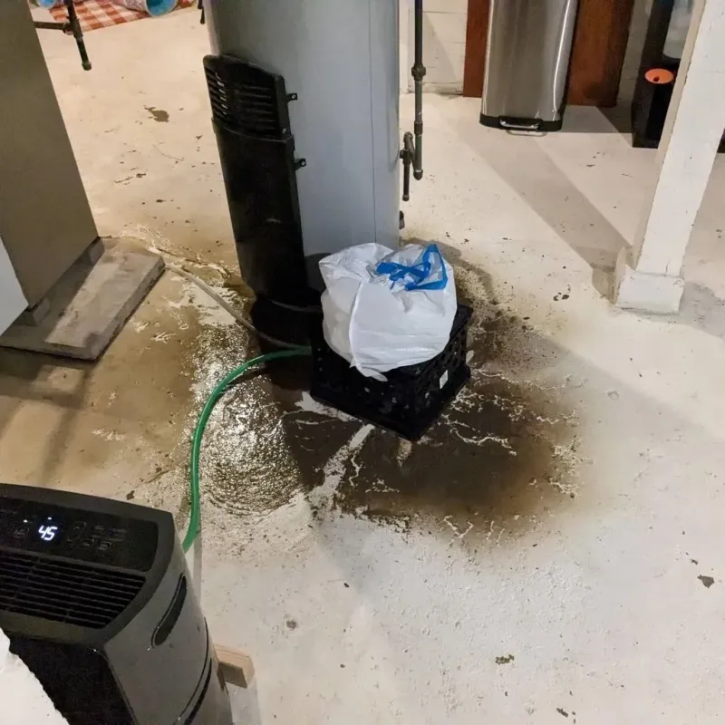 Sewage Backup Cleanup Service in Cherokee County, KS